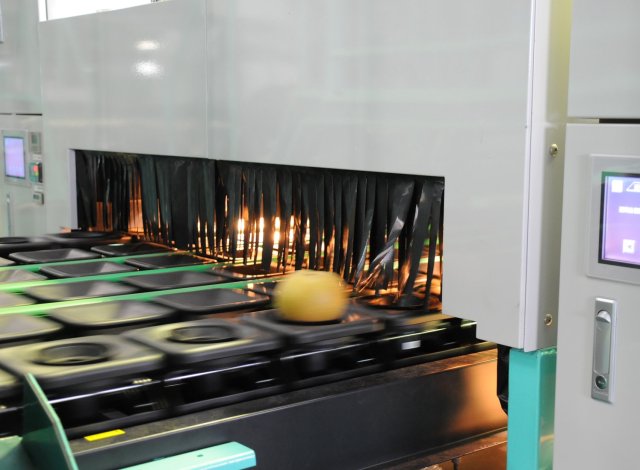 下妻第一共同選果場 光センサー選果