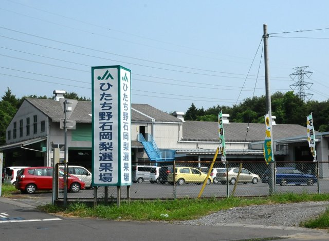 JA新ひたち野 石岡梨選果場