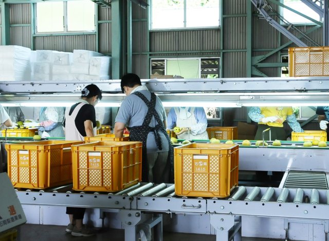 JA新ひたち野 石岡梨選果場