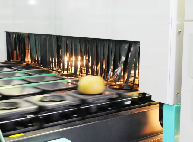 下妻梨第一選果場 光センサー