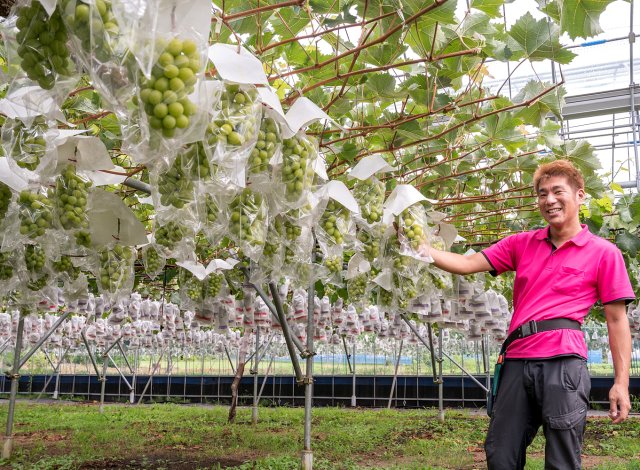 武藤観光農園 生産者