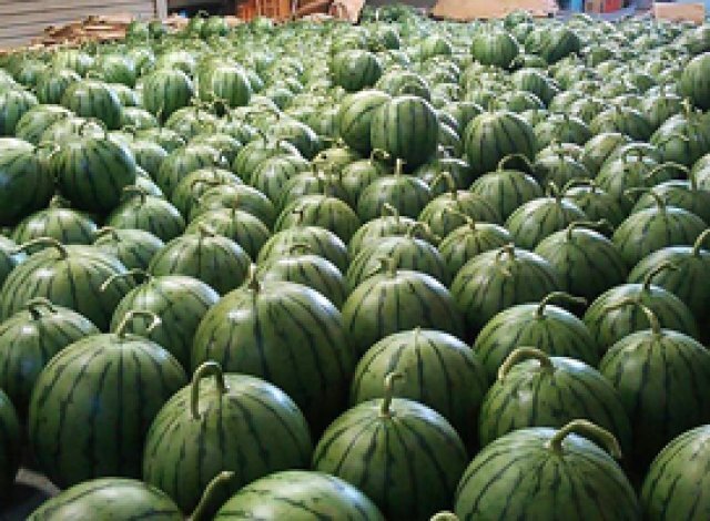 スイカの山