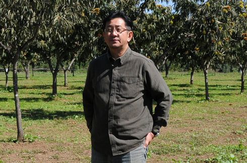 （かすみがうら市）