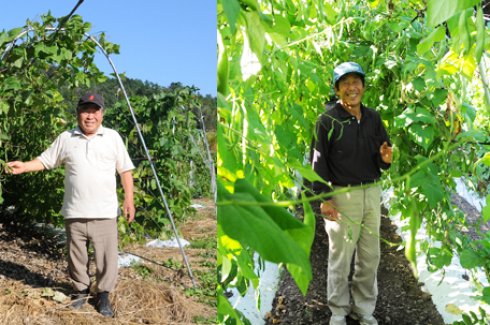 茨城にしかないブランド豆　常陸大黒生産者