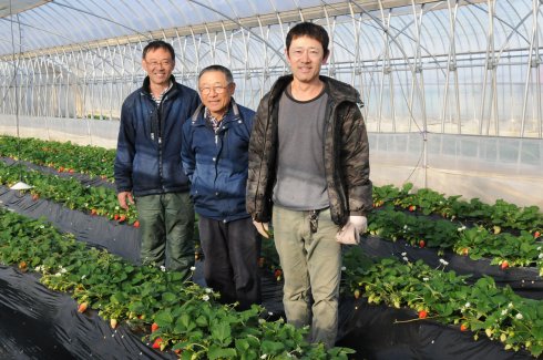 柳田農園（常総市）