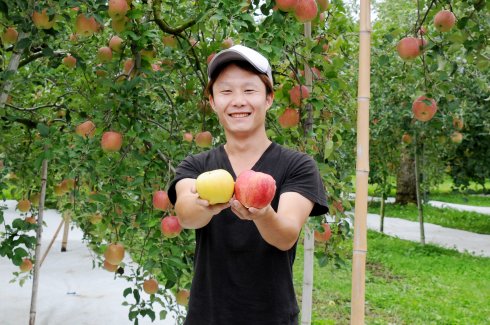 豊田りんご園　豊田 拓未さん（大子町）