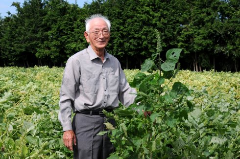 岩崎荏胡麻生産組合　小泉さん（常陸大宮市）