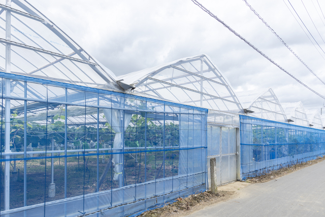 170aの農地の中、病害虫の発生リスクを軽減できるハウス栽培が7割を占める