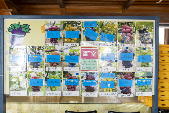 直売ではまだスーパーでは出回らない希少な新品種がラインナップに並ぶ