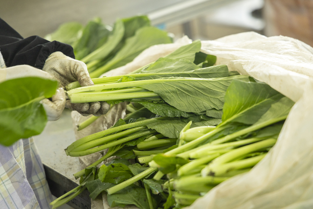 カモスフィールドの主要品目である小松菜