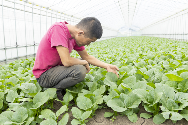 微生物と共に育てるカモスフィールド