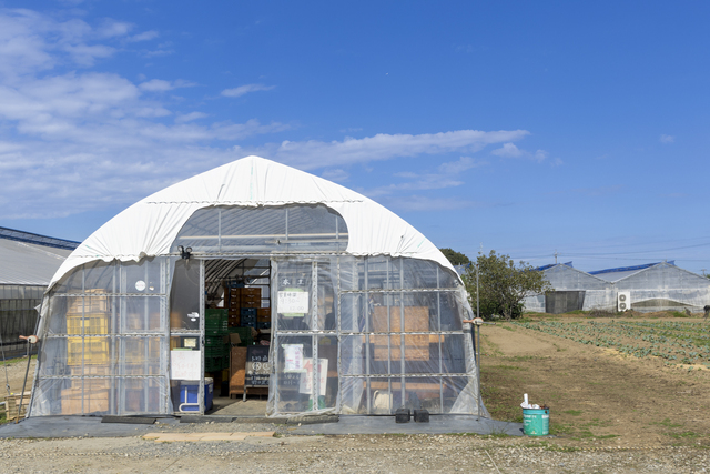 野口農園の直売所は11月から6月まで営業し、旬を求める人々で毎日賑わいます