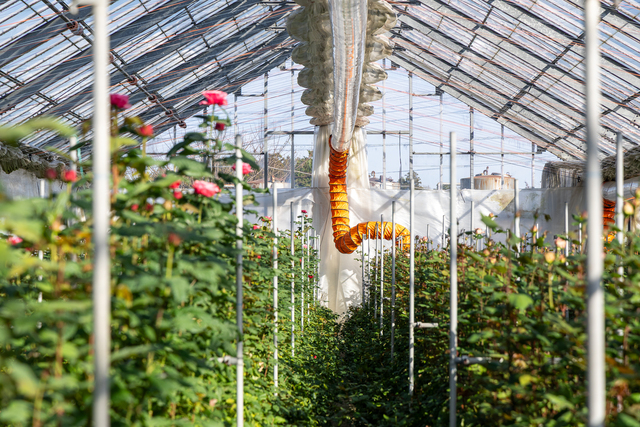 バラを育てるハウス内に設置した設備
