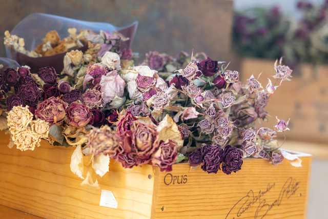 ドライにしても美しいバラ