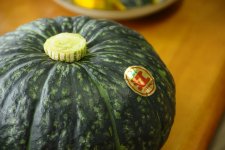 江戸崎かぼちゃ（稲敷市）