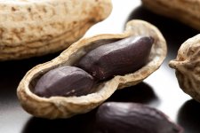 らっかせい　黒落花生（牛久市）