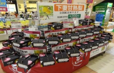 昨年のフェアの様子