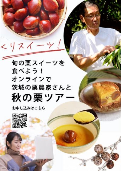 オンラインで秋の栗ツアーチラシ表