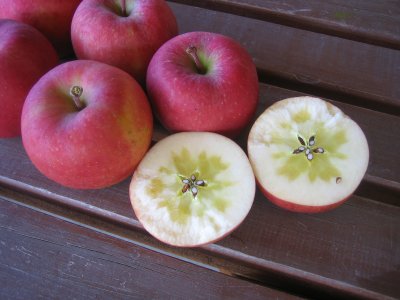 奥久慈りんご（品種：こうとく）