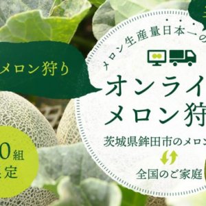 ≪【おうちで楽しむオンラインメロン狩り】受付終了≫