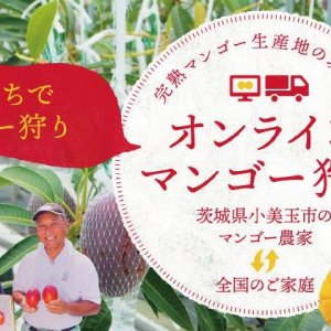 【おうちで楽しむ♪オンラインマンゴー狩り】参加者募集！