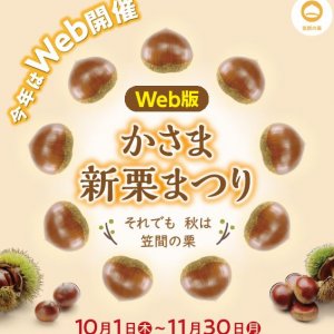 【11/30(月)まで！】Web版　かさま新栗まつり