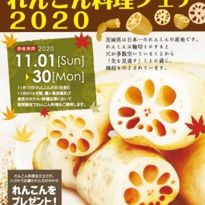 【11/30(月)まで】れんこん料理フェア2020開催中！