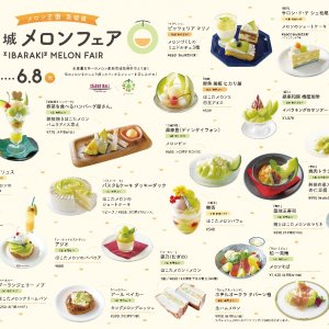 【6月8日(火)まで】生産量日本一！！ 鉾田市のメロンを贅沢に使ったメニューフェア開催