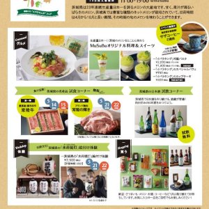 【5/11(水)～5/15(日)、5/18(水)～5/22(日)】『⾷の宝庫 茨城をたべよう ―茨城メロン"イバラキング"フェア―』を開催！