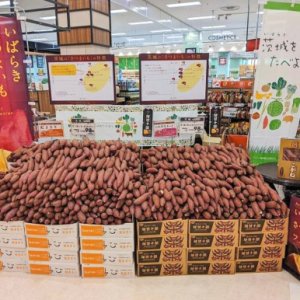 【2/3(金)～2/5(日)】近畿イオン　茨城さつまいもフェア開催