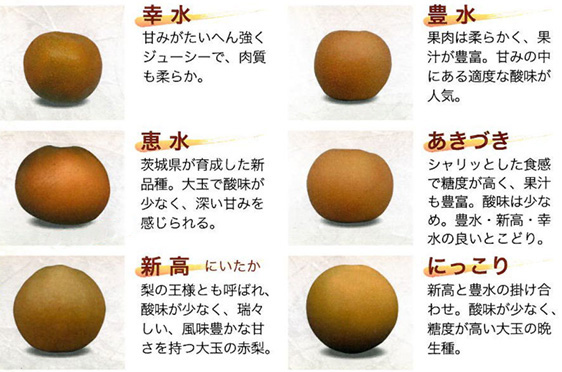 いばらき梨よくある質問 品種の特徴